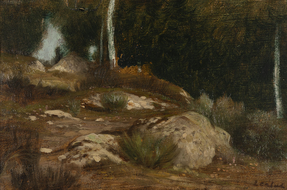 Rochers en forêt